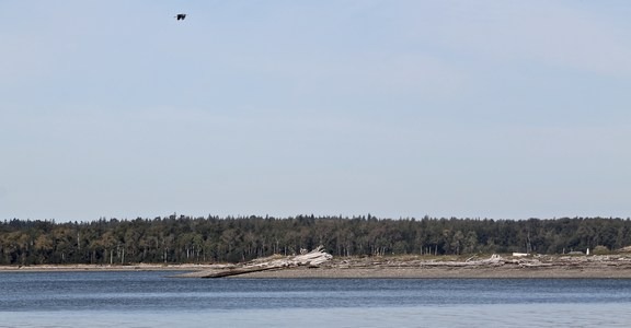 Portage Island Paddle