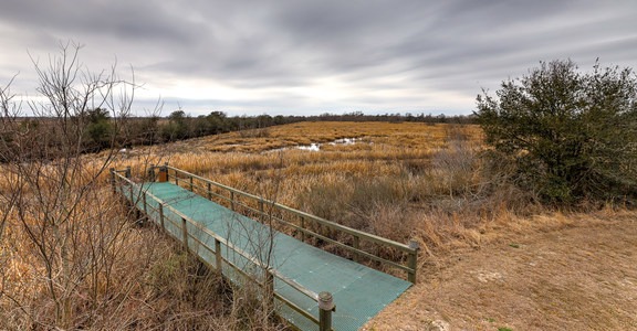 White Lake Wetlands Conservation Area Birding + Nature Trail