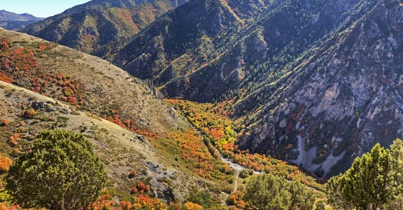 Rattlesnake Gulch Hike