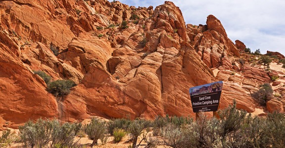 Sand Cove Primitive Camping Area