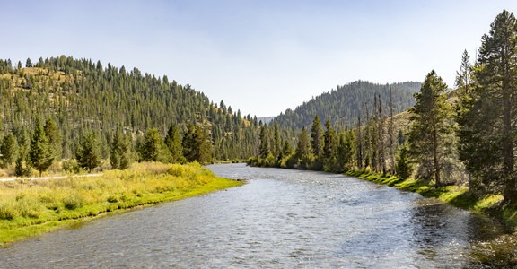 Casino Creek Campground