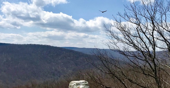 Wolf Rock + Chimney Rock Loop