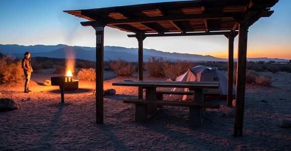 Borrego Palm Canyon Campground
