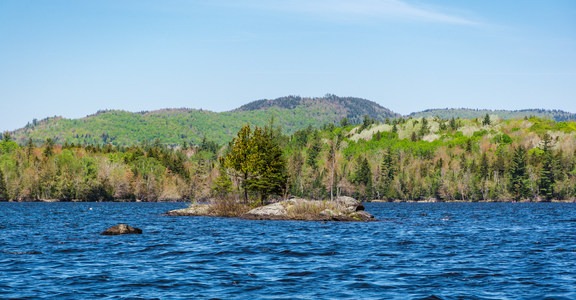 Umbagog Lake State Park