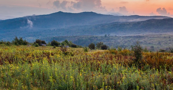 Wilburn Ridge Loop via Pine Mountain + the Appalachian Trail