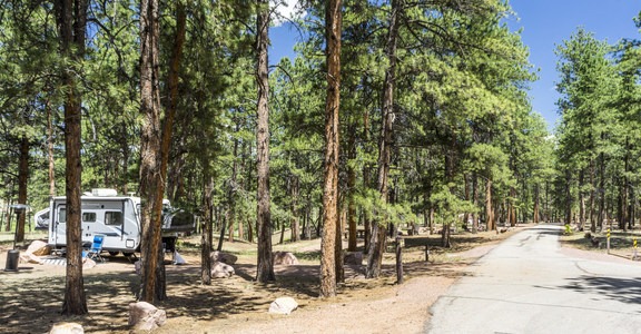 South Meadows Campground