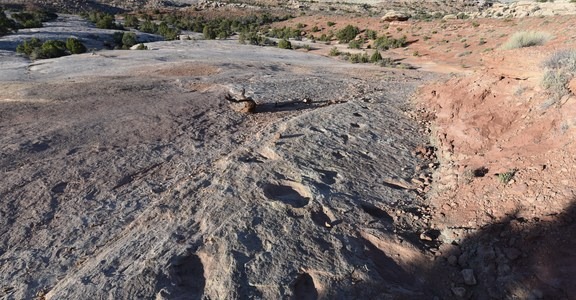 Klondike Bluff Dinosaur Tracks