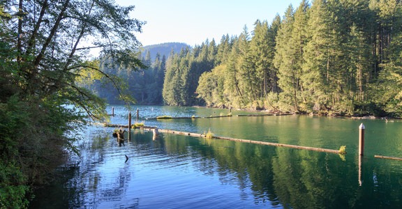 Cresap Bay Recreation Area Campground