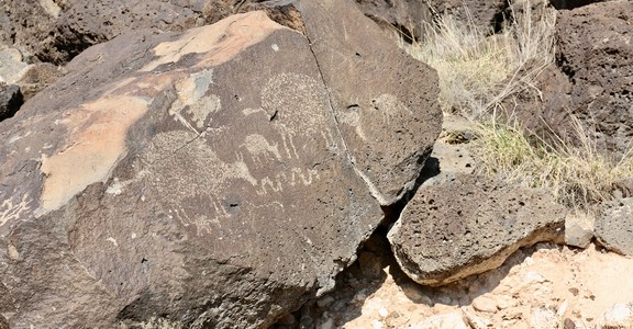 Rinconada Canyon Trail
