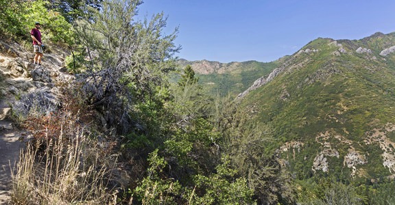 Salt Lake Overlook via Desolation Trail