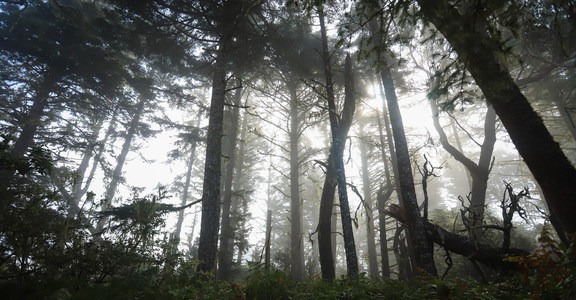 Tseriadun State Recreation Area