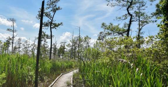 Point Lookout State Park
