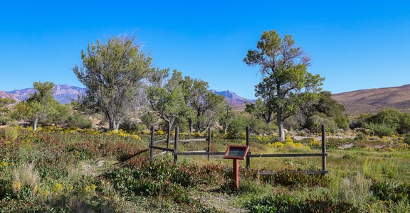 Ash Grove Loop Trail: North + South Loops