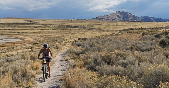 Mountain View Trail / East Shore Trail