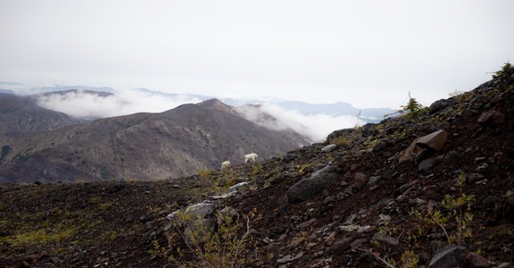Truman Trail to Loowit Falls