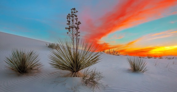 White Sands National Monument Dispersed Campsites
