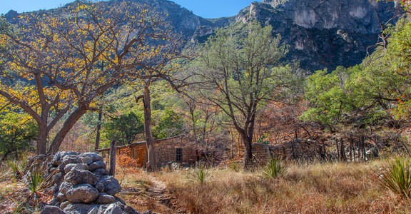 McKittrick Canyon: Lower Section to the Grotto and Pratt Lodge