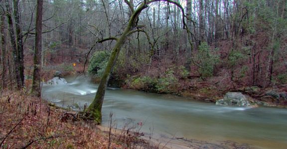 Tallulah River Campground