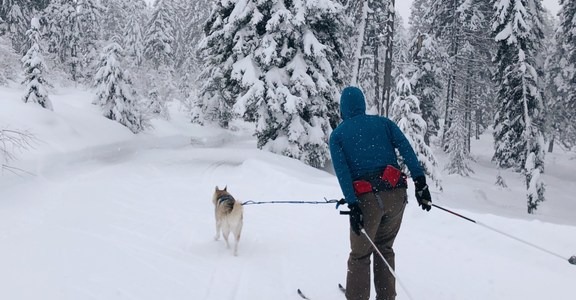 Bear Basin Nordic Center
