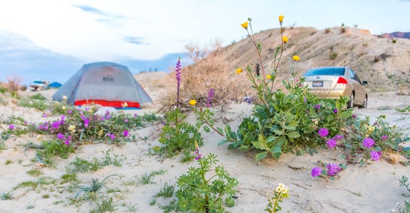 Arroyo Salado Primitive Campground