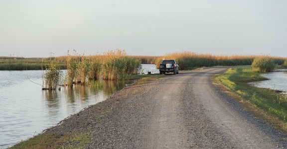 Rockefeller Wildlife Refuge + Price Lake Nature Drive