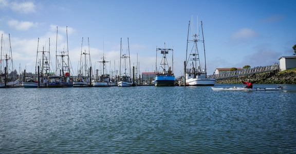 Joe Ney Slough + South Slough