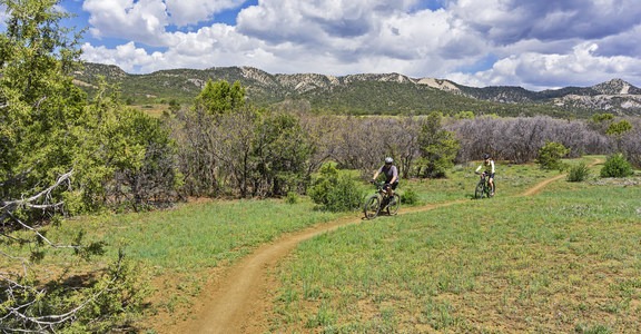 Spur Line Trails