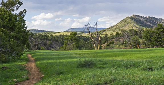 Horse Gulch Trailhead