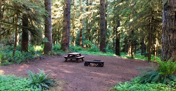 Shellburg Falls Campground