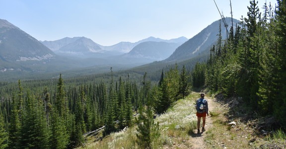 Fourmile Basin Trail
