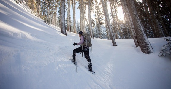 Winter Climb of Mount Catherine