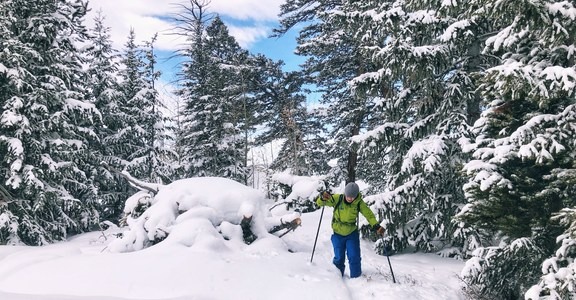 White Pine Cross-Country Ski Trails