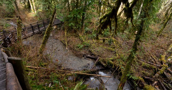 Wallace Falls Out and Back