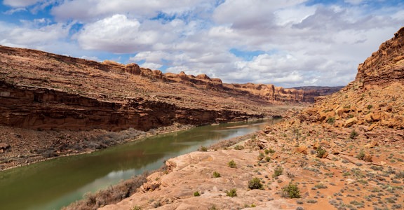 Poison Spider Bench Trail