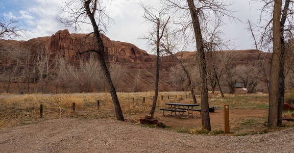 William’s Bottom Campground