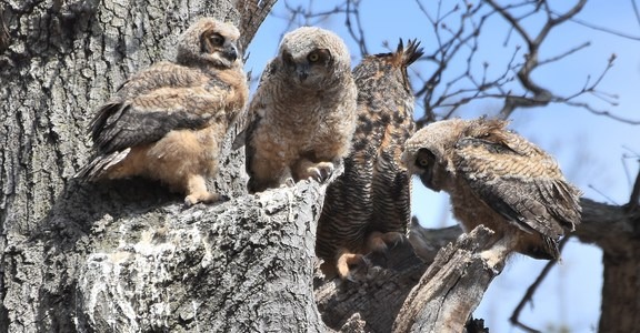 Silverwood Park Loop