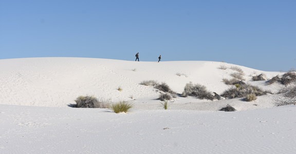 Dune Life Nature Trail