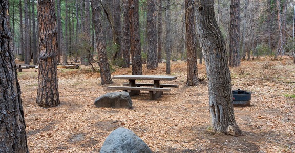 Cave Springs Campground