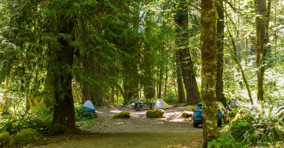 East Fork Campground
