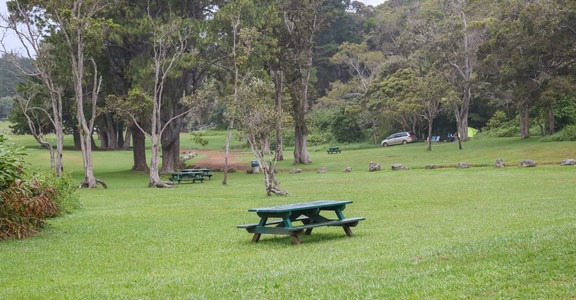 Koke'e State Park Campground