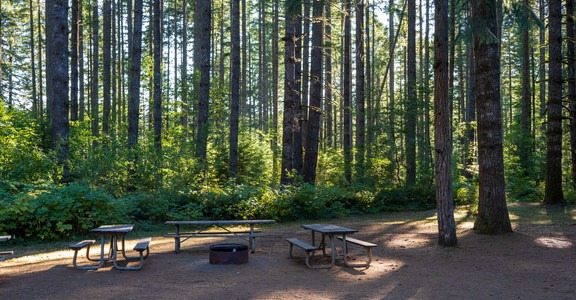 Silver Falls Group Camp