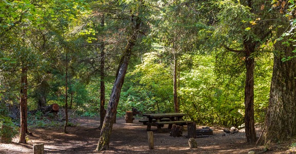 Mill Creek Campground