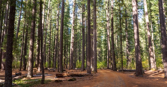 Union Creek Campground