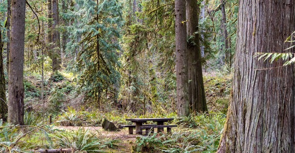 Black Canyon Campground