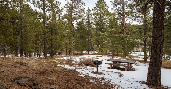 Lower Pleasant Creek Campground