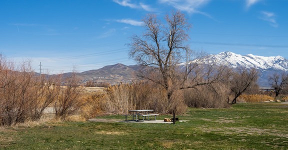 Willow Park Campground
