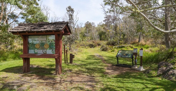 Kipukapuaulu Trail