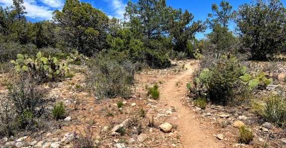 Arizona Trail Passage 25: Whiterock Mesa