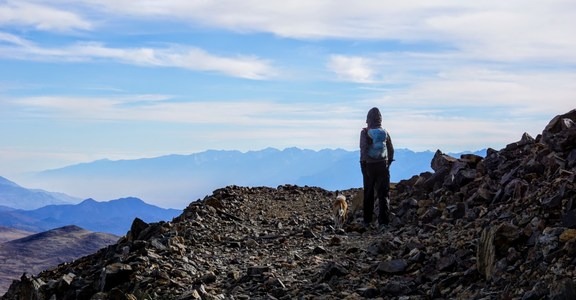 White Mountain Peak Trail