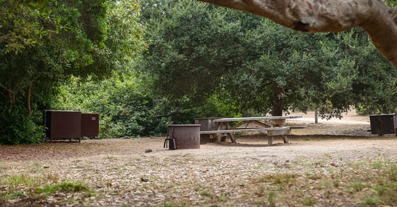Manresa Uplands State Beach Campground